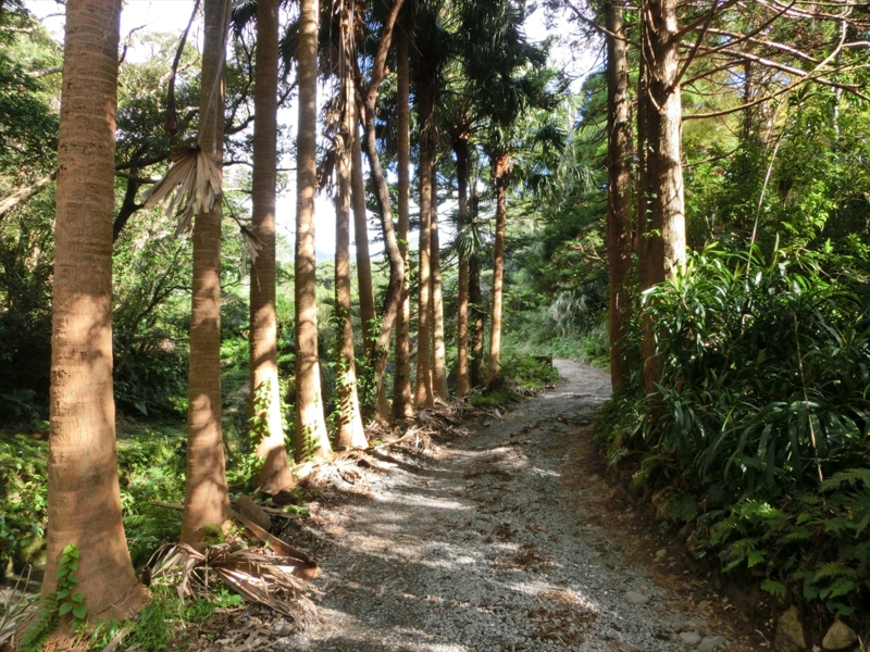 f:id:Margatroid:20170103165233j:plain f:id:Margatroid:20170103165233j:plain