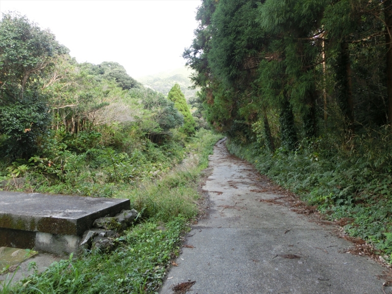 f:id:Margatroid:20170103165239j:plain f:id:Margatroid:20170103165239j:plain