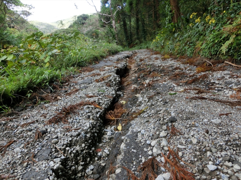 f:id:Margatroid:20170103165240j:plain f:id:Margatroid:20170103165240j:plain