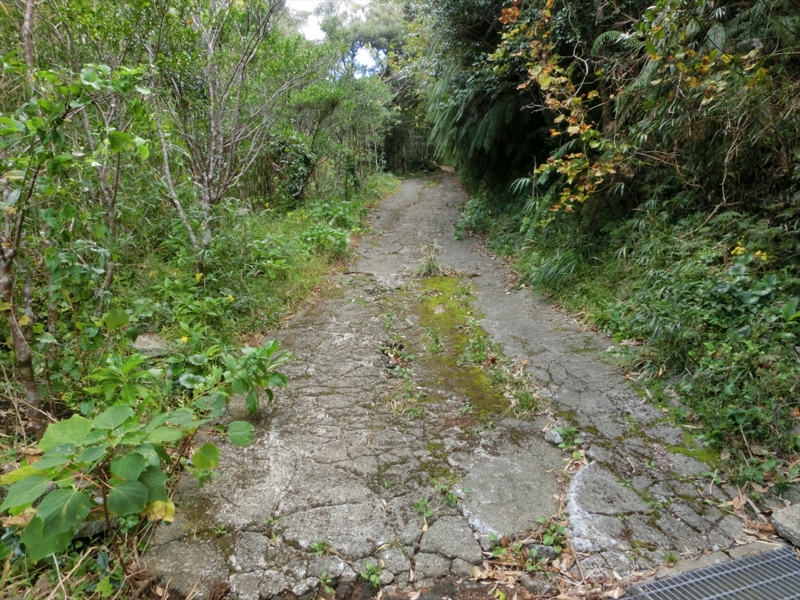 f:id:Margatroid:20170103165241j:plain f:id:Margatroid:20170103165241j:plain