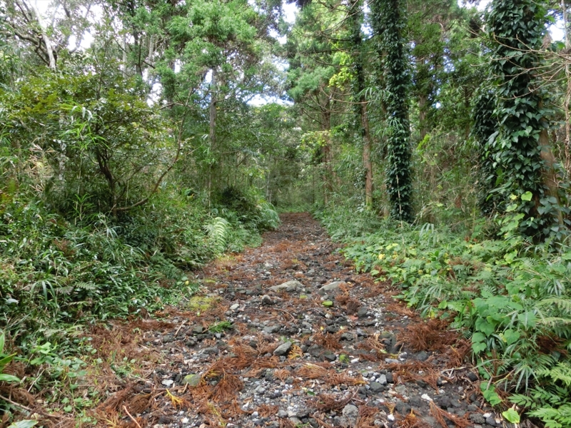 f:id:Margatroid:20170103165242j:plain f:id:Margatroid:20170103165242j:plain