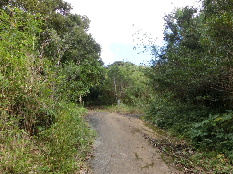 f:id:Margatroid:20170103165246j:plain f:id:Margatroid:20170103165246j:plain