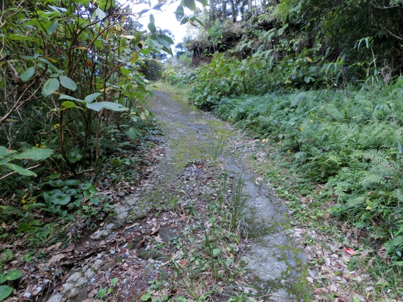 f:id:Margatroid:20170103165248j:plain f:id:Margatroid:20170103165248j:plain