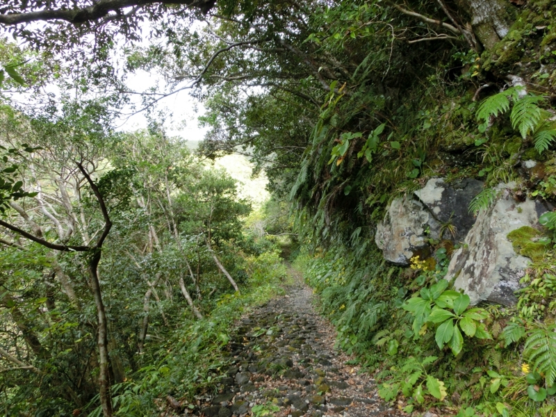 f:id:Margatroid:20170103165249j:plain f:id:Margatroid:20170103165249j:plain