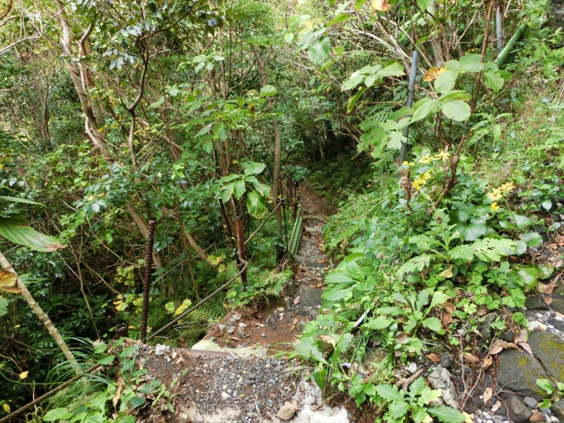 f:id:Margatroid:20170103165250j:plain f:id:Margatroid:20170103165250j:plain