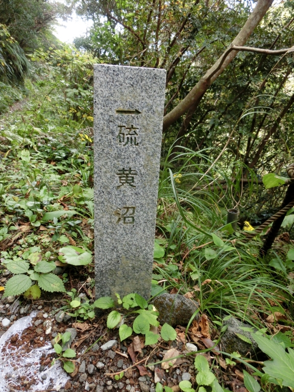 f:id:Margatroid:20170103165251j:plain f:id:Margatroid:20170103165251j:plain