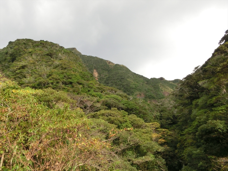 f:id:Margatroid:20170103165254j:plain f:id:Margatroid:20170103165254j:plain