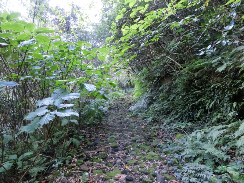 f:id:Margatroid:20170103165255j:plain f:id:Margatroid:20170103165255j:plain