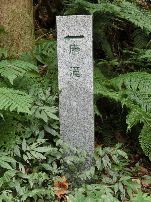 f:id:Margatroid:20170103165256j:plain f:id:Margatroid:20170103165256j:plain