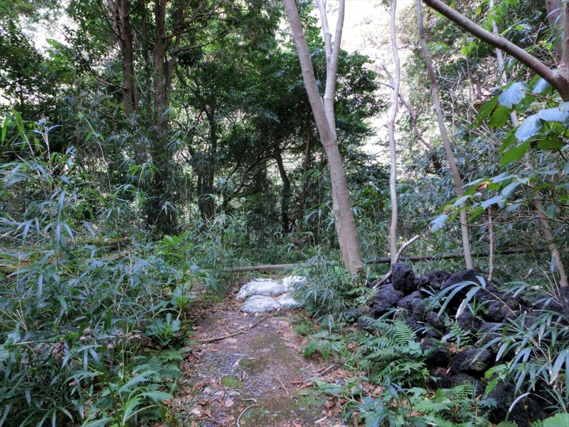 f:id:Margatroid:20170103165257j:plain f:id:Margatroid:20170103165257j:plain