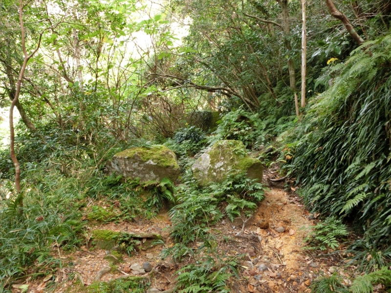 f:id:Margatroid:20170103165258j:plain f:id:Margatroid:20170103165258j:plain