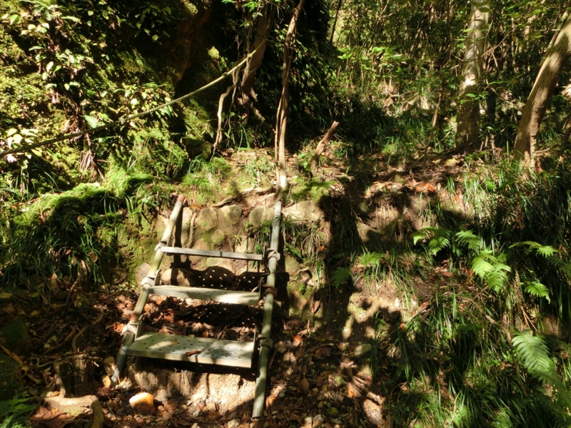 f:id:Margatroid:20170103165259j:plain f:id:Margatroid:20170103165259j:plain