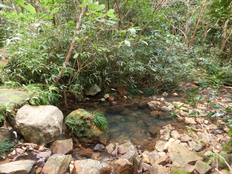 f:id:Margatroid:20170103165300j:plain f:id:Margatroid:20170103165300j:plain