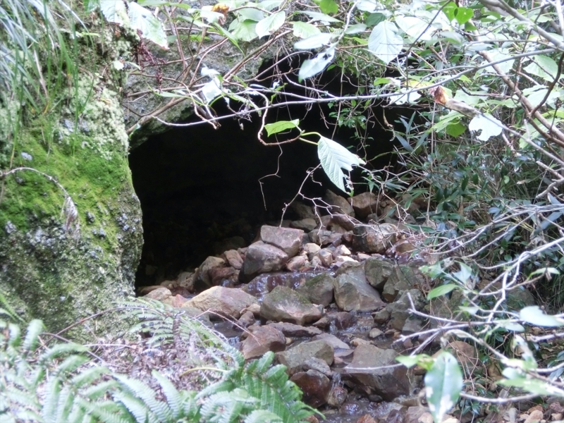 f:id:Margatroid:20170103165301j:plain f:id:Margatroid:20170103165301j:plain