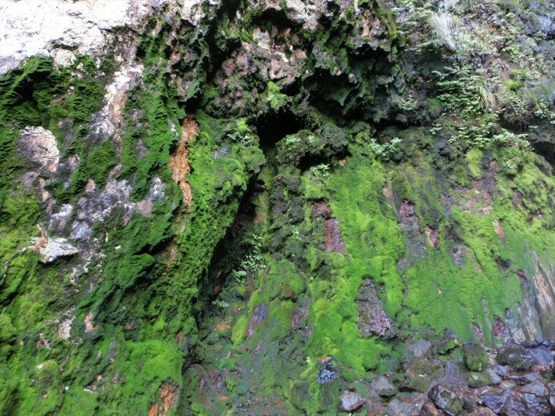 f:id:Margatroid:20170103165304j:plain f:id:Margatroid:20170103165304j:plain