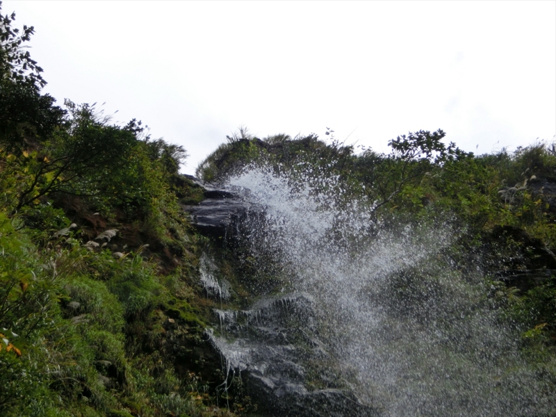 f:id:Margatroid:20170103165305j:plain f:id:Margatroid:20170103165305j:plain