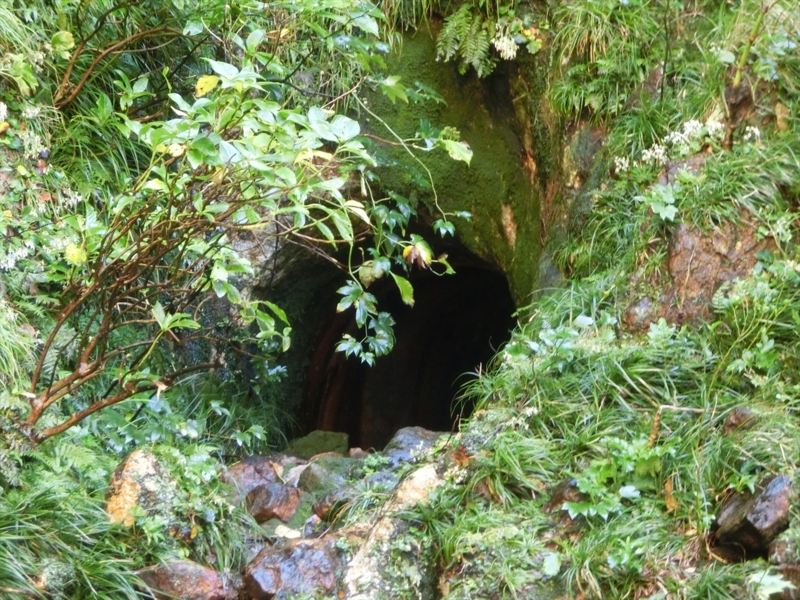 f:id:Margatroid:20170103165307j:plain f:id:Margatroid:20170103165307j:plain