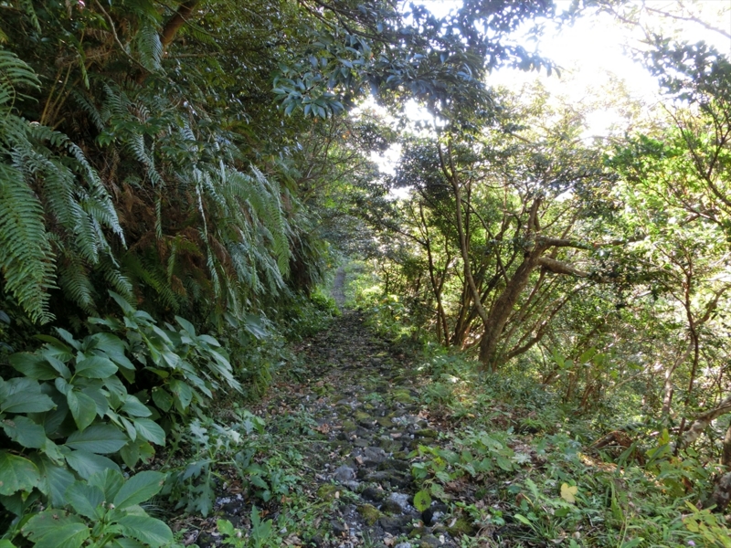 f:id:Margatroid:20170103165309j:plain f:id:Margatroid:20170103165309j:plain