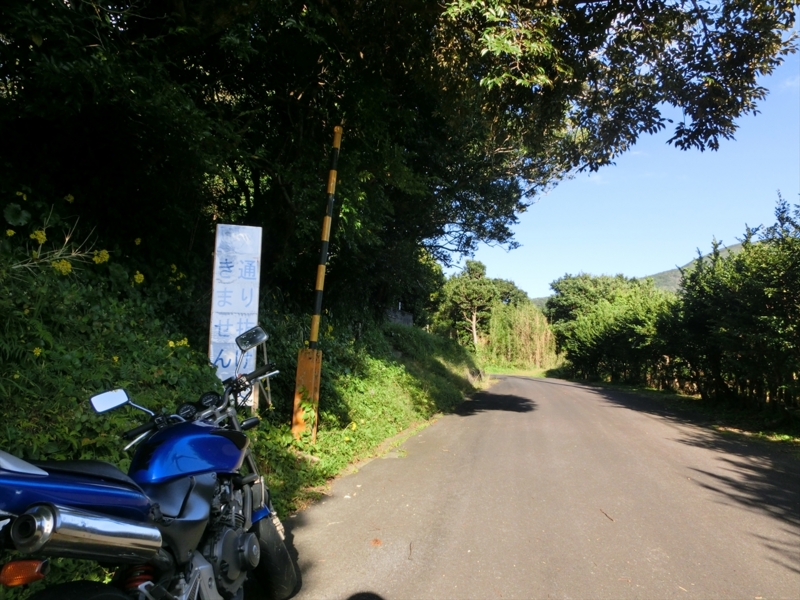 f:id:Margatroid:20170103165321j:plain f:id:Margatroid:20170103165321j:plain