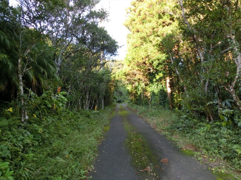 f:id:Margatroid:20170103165324j:plain f:id:Margatroid:20170103165324j:plain