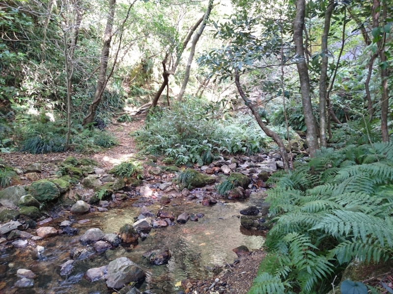 f:id:Margatroid:20170211162555j:plain f:id:Margatroid:20170211162555j:plain