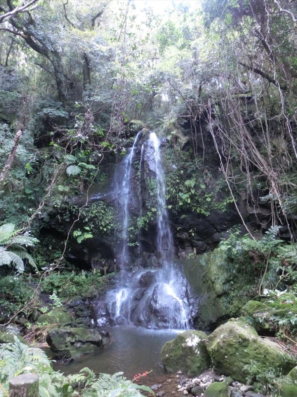 f:id:Margatroid:20170326111405j:plain f:id:Margatroid:20170326111405j:plain