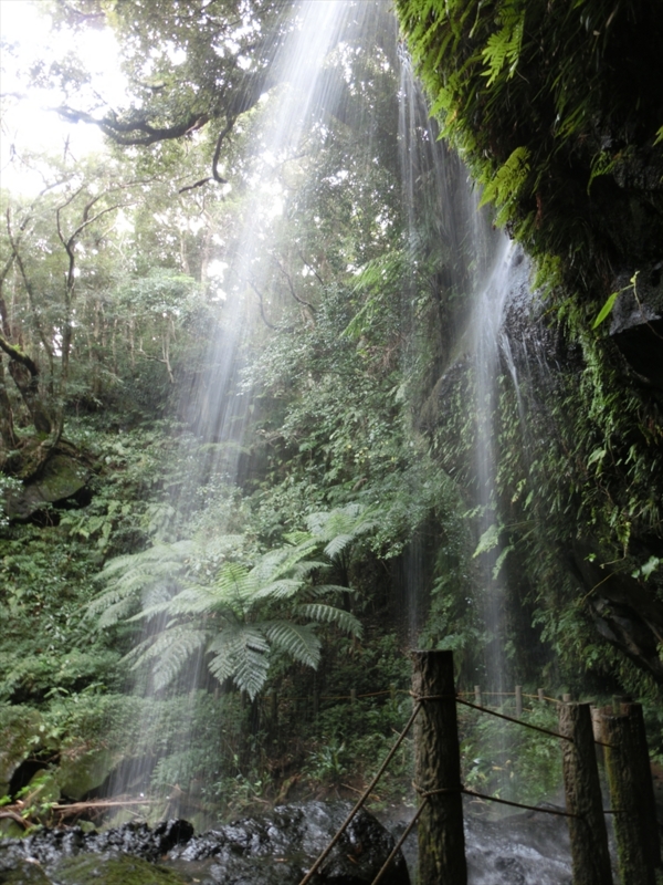 f:id:Margatroid:20170326111406j:plain f:id:Margatroid:20170326111406j:plain