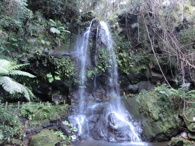 f:id:Margatroid:20170326111407j:plain f:id:Margatroid:20170326111407j:plain