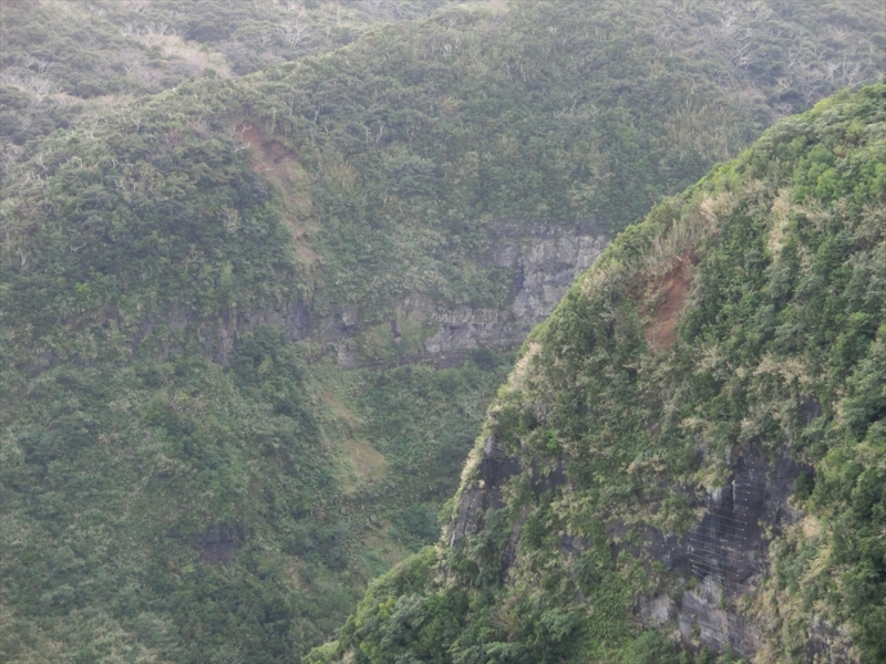 f:id:Margatroid:20170326111408j:plain f:id:Margatroid:20170326111408j:plain