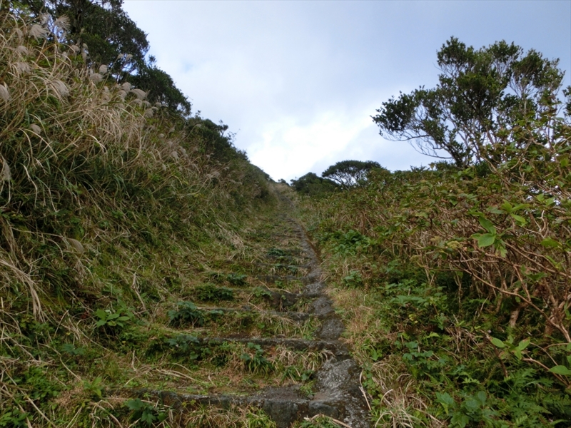 f:id:Margatroid:20170326111412j:plain f:id:Margatroid:20170326111412j:plain