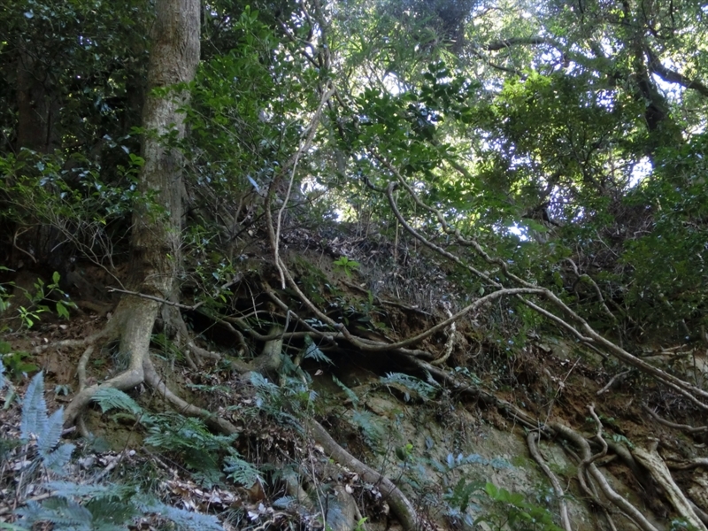 f:id:Margatroid:20170326191630j:plain f:id:Margatroid:20170326191630j:plain