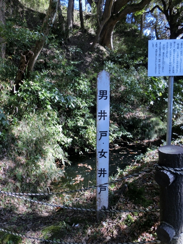 f:id:Margatroid:20170326191632j:plain f:id:Margatroid:20170326191632j:plain