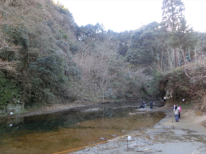 f:id:Margatroid:20170326191730j:plain f:id:Margatroid:20170326191730j:plain