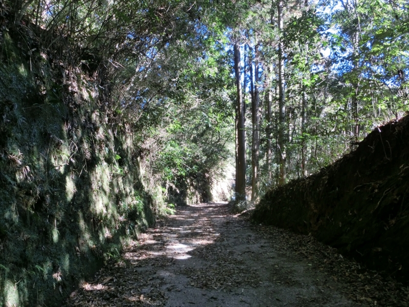 f:id:Margatroid:20170326194107j:plain f:id:Margatroid:20170326194107j:plain