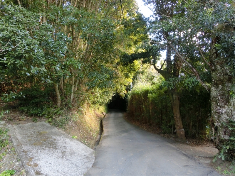 f:id:Margatroid:20170326194119j:plain f:id:Margatroid:20170326194119j:plain