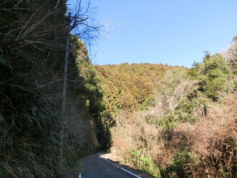 f:id:Margatroid:20170326194130j:plain f:id:Margatroid:20170326194130j:plain