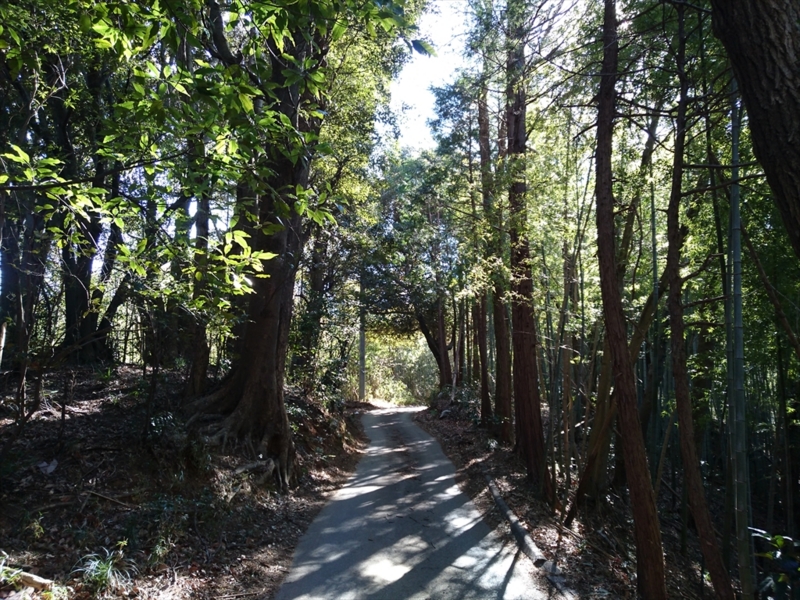 f:id:Margatroid:20170329170010j:plain f:id:Margatroid:20170329170010j:plain