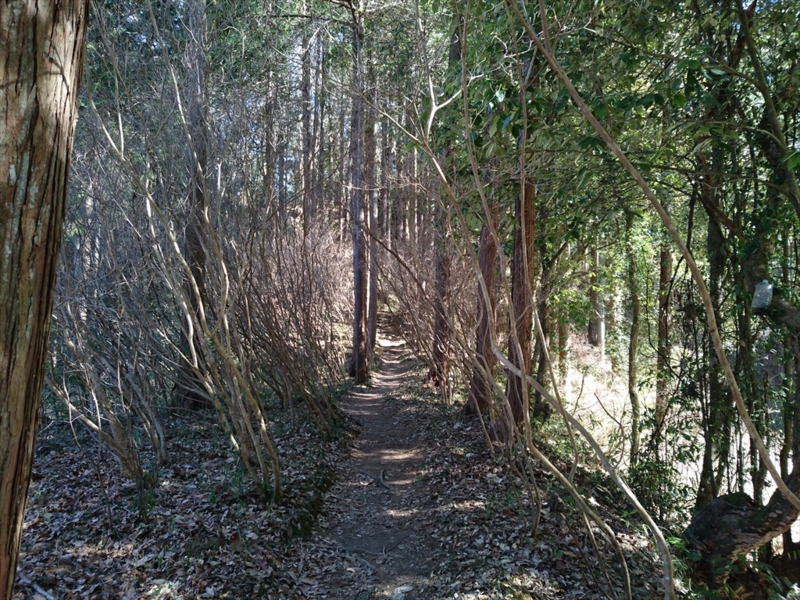 f:id:Margatroid:20170329170012j:plain f:id:Margatroid:20170329170012j:plain