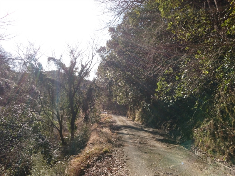 f:id:Margatroid:20170329170017j:plain f:id:Margatroid:20170329170017j:plain