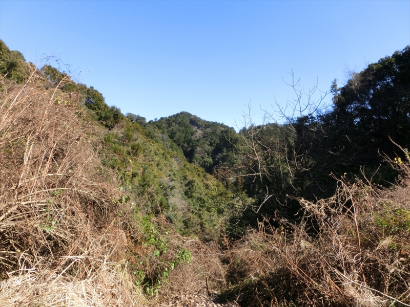 f:id:Margatroid:20170401111058j:plain f:id:Margatroid:20170401111058j:plain