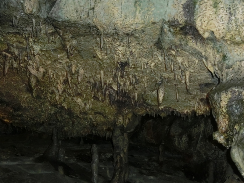 f:id:Margatroid:20170505124129j:plain f:id:Margatroid:20170505124129j:plain