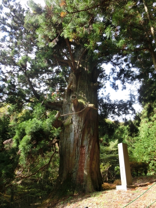 f:id:Margatroid:20170616153313j:plain