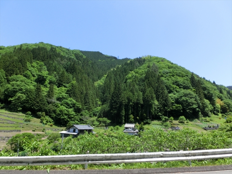 f:id:Margatroid:20170801180429j:plain f:id:Margatroid:20170801180429j:plain