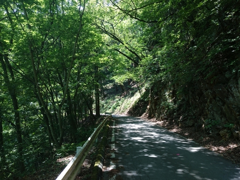 f:id:Margatroid:20170903145257j:plain f:id:Margatroid:20170903145257j:plain