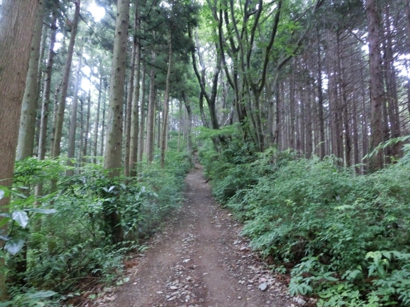 f:id:Margatroid:20171002140455j:plain f:id:Margatroid:20171002140455j:plain