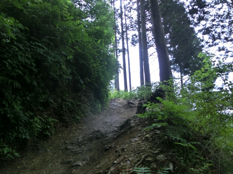 f:id:Margatroid:20171002140512j:plain f:id:Margatroid:20171002140512j:plain