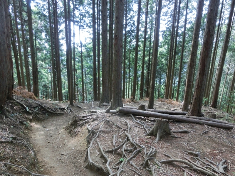 f:id:Margatroid:20171002140534j:plain f:id:Margatroid:20171002140534j:plain