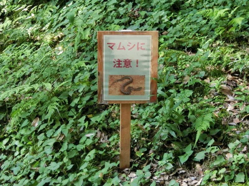 f:id:Margatroid:20171010194643j:plain