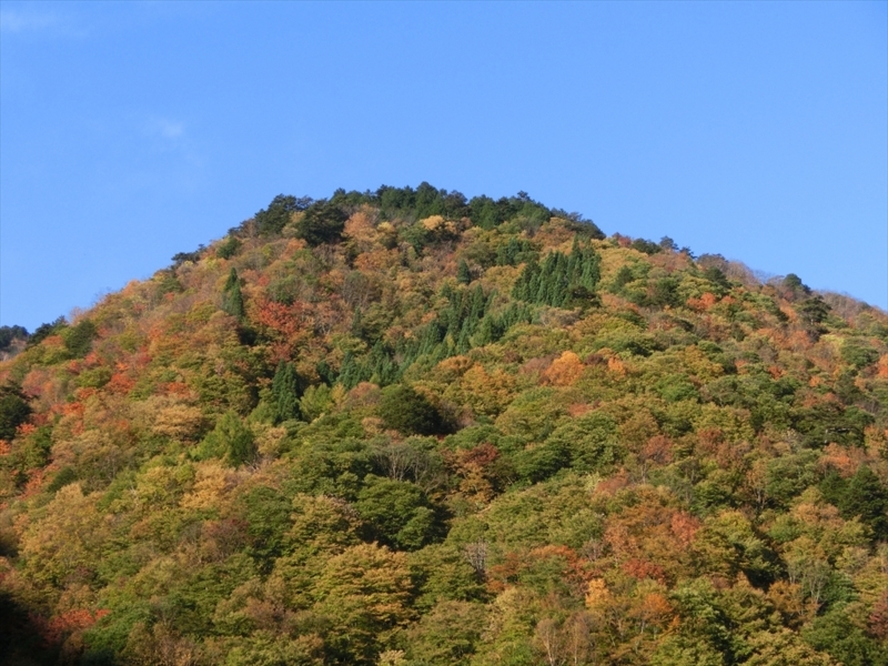 f:id:Margatroid:20171101184301j:plain f:id:Margatroid:20171101184301j:plain