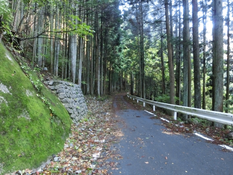 f:id:Margatroid:20171101184307j:plain f:id:Margatroid:20171101184307j:plain